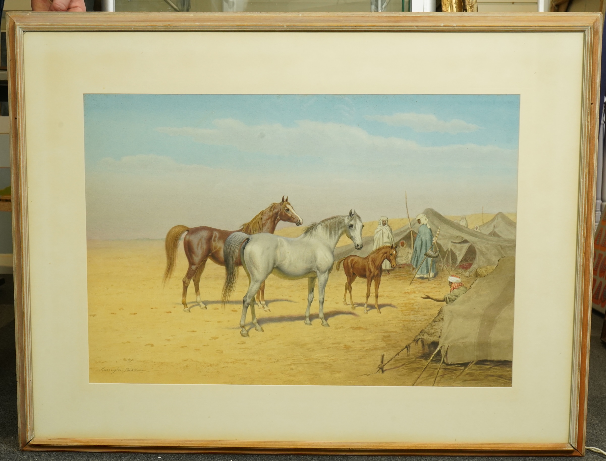 John Alexander Harrington Bird (English, 1846-1936), Arabian horses before a desert encampment, watercolour and pencil, 49 x 72cm